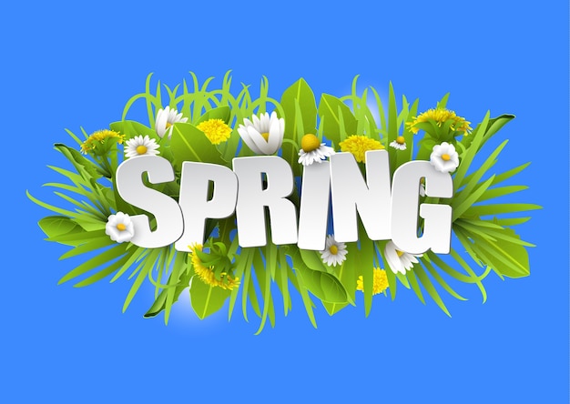 Floral spring typography background with dandelions and chamomiles