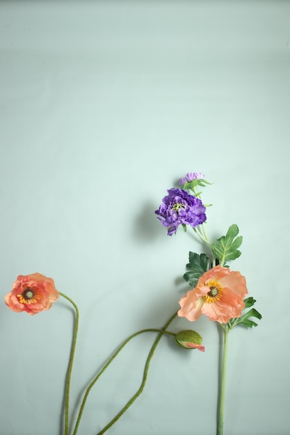 Photo floral still life on a light background