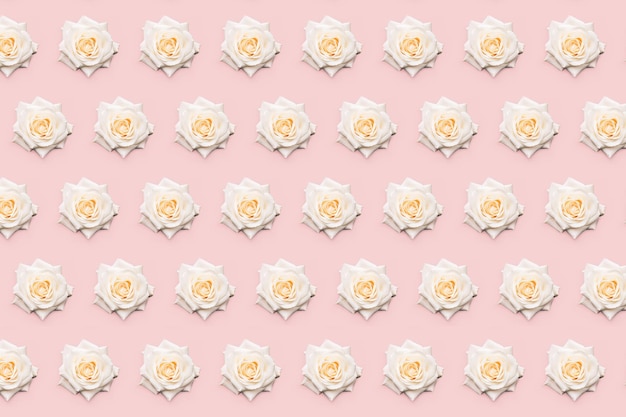 Floral white rose pattern