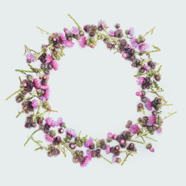 Floral wreath made of green branches of thistle