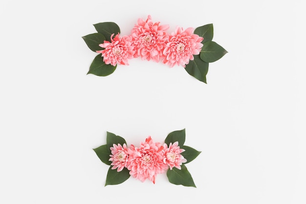 Floral wreath made of pink chrysanthemum and green leaves on a white background