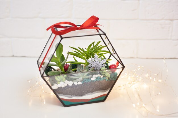 Florarium - composizione di piante grasse, pietra, sabbia e vetro, elemento di interni, decorazioni per la casa, decorazioni natalizie, regalo di capodanno