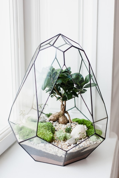 Florarium - composition of succulents, stone, sand and glass, element of interior, home decor, glass terarium