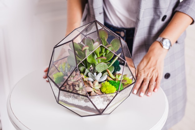 Florarium, composition of succulents, stone, sand and glass, element of interior,  home decor, glass terarium