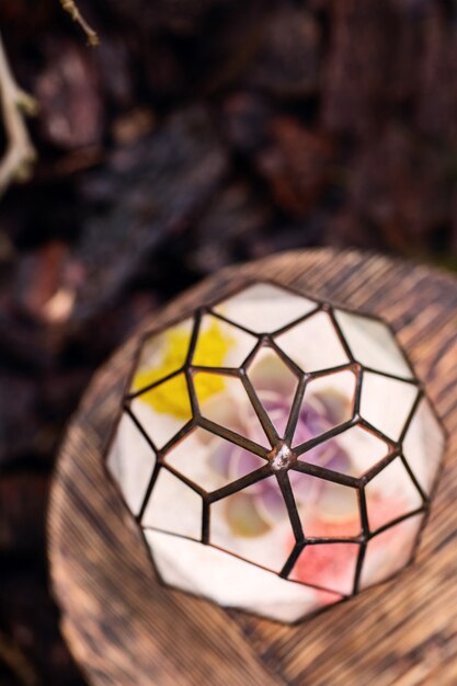 Florarium on the little wooden table