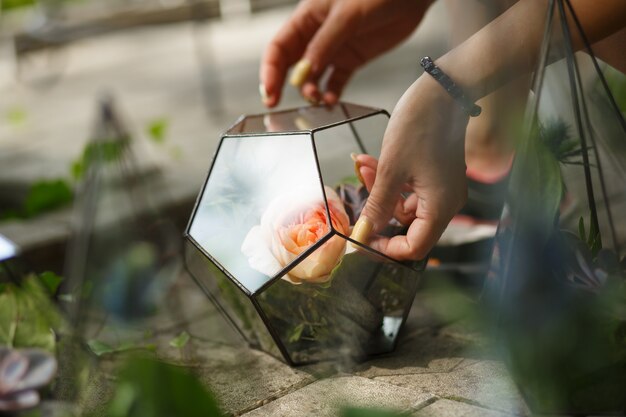 Florarium met verse succulente en roze bloemen