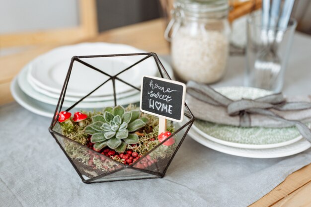 Florarium with live plants on the kitchen table on the background of a beautifully decorated table.