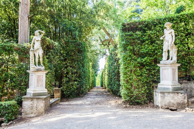 Foto firenze, italia. vecchio giardino di boboli durante una giornata di sole nella stagione estiva