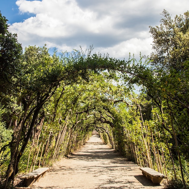 Florence, Italy. Old Boboli Gardens during a sunny day in summer season