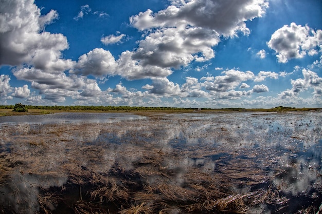 Florida everglades view panorama landscape