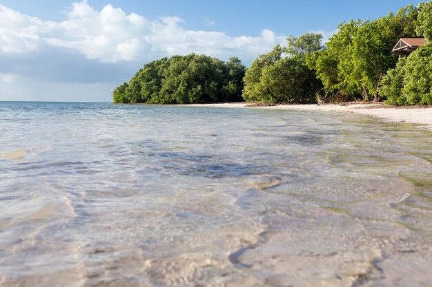 Florida Keys Anne's Beach