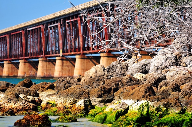 Foto florida keys-brug