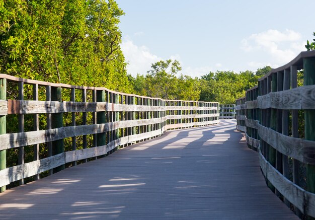 Florida Keys raised walkway