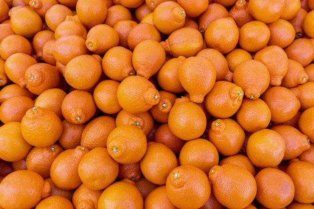 Florida oranges. citrus