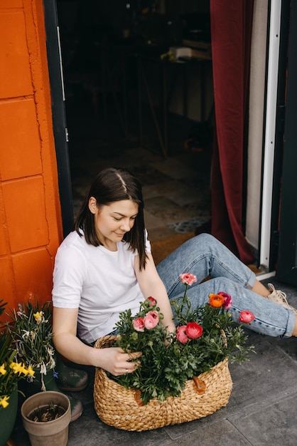 写真 花屋のフロリス ピンクのラナンキュラスの花を大きなかごに並べて世話をする女性