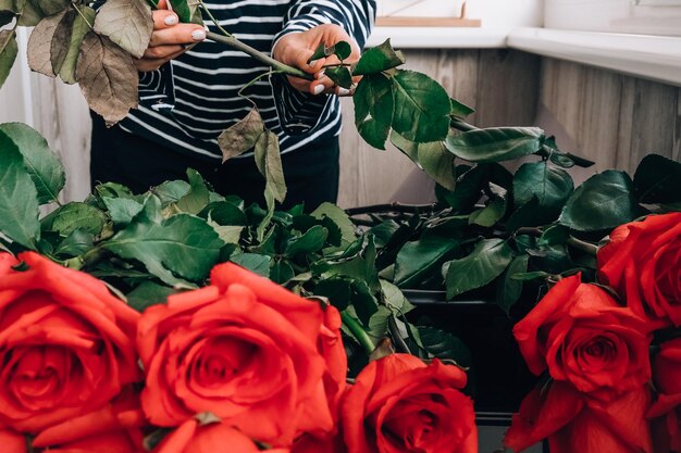 Florist arranging a bouquet from pink roses close up florist working cutting roses stem l