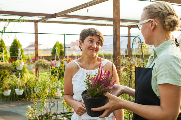 鉢植えの花をデモンストレーションする花屋