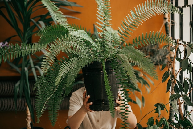 The florist gardener hid behind pot of ferns. she holds it with\
his hands in front of her