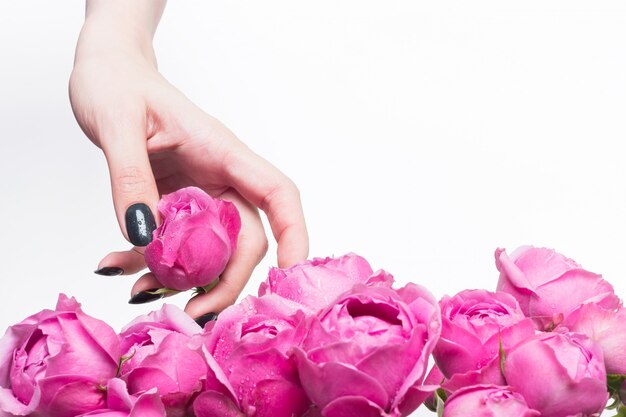 The florist girl holds small buds of pink roses in her hand. The choice of flowers for the bouquet. Drops of water on the petals.