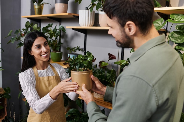 florist helps client select the ideal houseplant at a lively flower shop