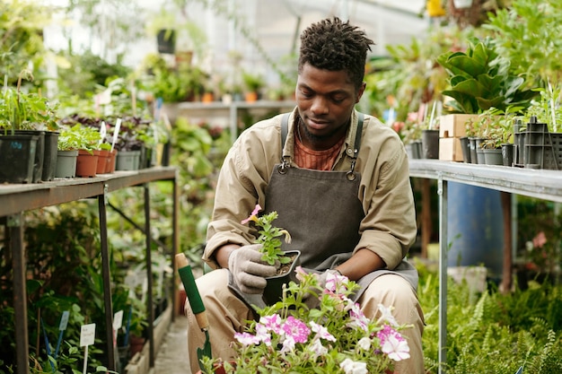 Florist making flowerbed from flowers