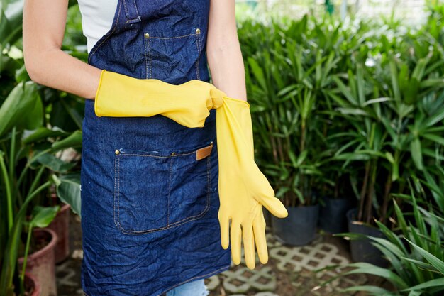 ゴム手袋を着用する花屋