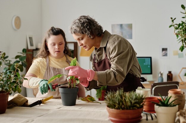 テーブルでダウン症の女の子と一緒に緑の植物を鉢に移植する花屋