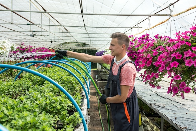 Florist waters with hose pipe different colour flowers in industrial hothouse