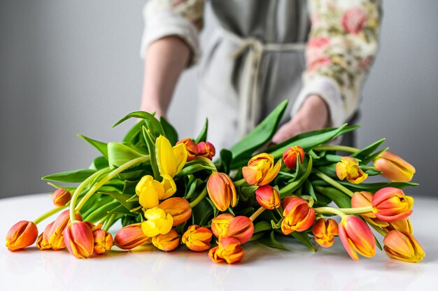 Florist at work. Woman making bouquet of spring tulips flowers. White background