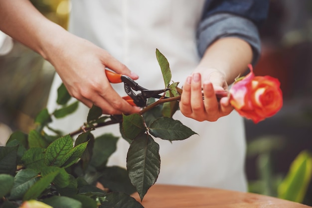 Florist