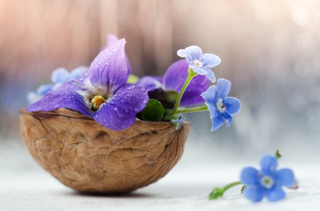 Floristic composition with violets 