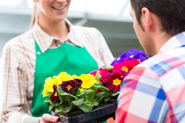 Florists or gardeners in flower shop, greenhouse or nursery