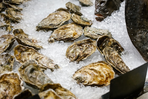 Flounder and oysters lie on the counter on ice in store