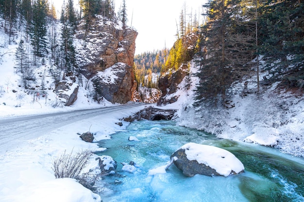 The flow of a beautiful blue river near mountain road in a pine forest. Winter landscape.