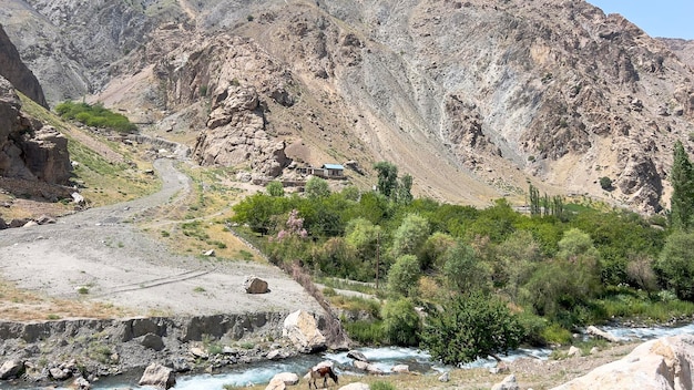 The flow of water and a small forest at the foot of the mountains