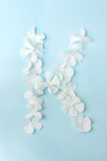 Flower Alphabet - K. Letter made from live flowers on light blue background.