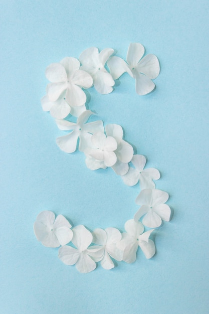 Flower Alphabet - S. Letter made from live flowers on light blue background.