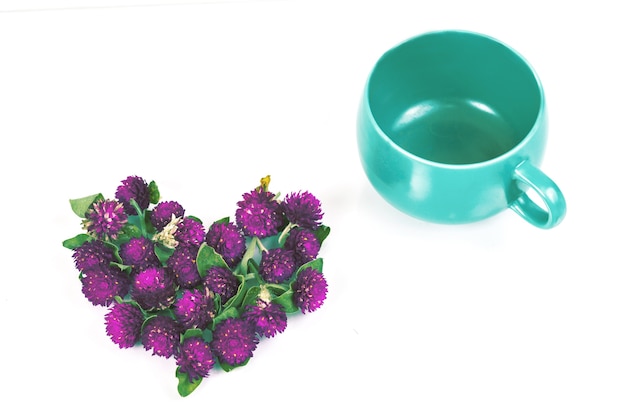 Photo flower of amaranth on white background