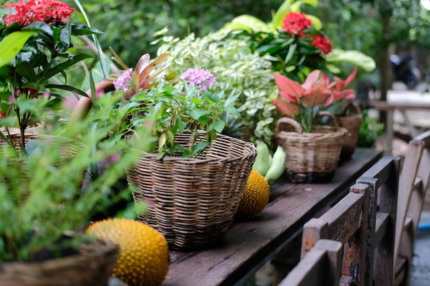 写真 テラスのバルコニーを飾るワイカーバスケットの花と緑の植物の葉