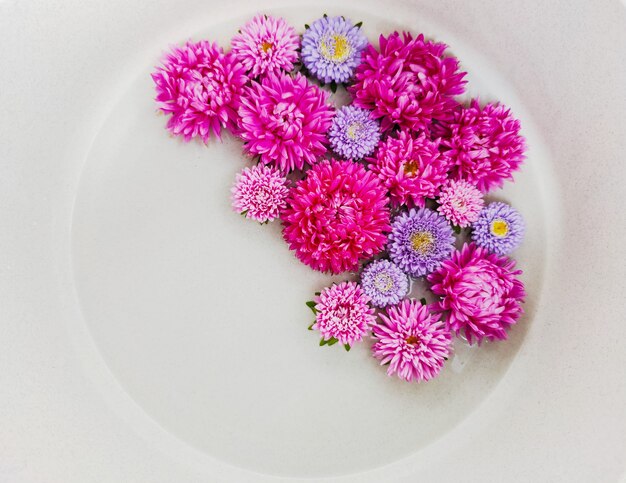 Flower arrangement of asters