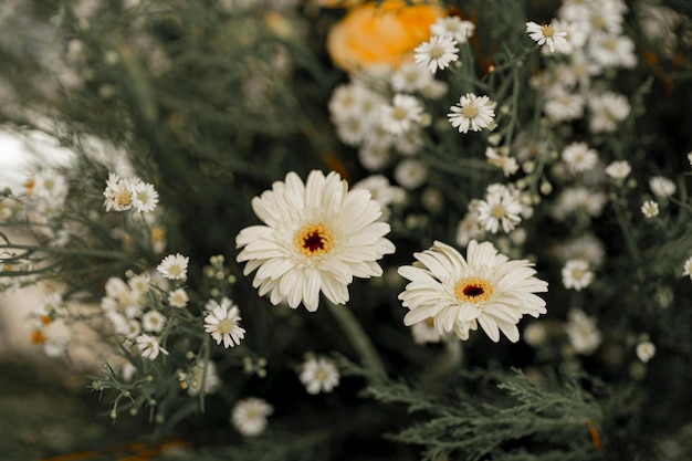 Foto composizione floreale per la decorazione nel matrimonio