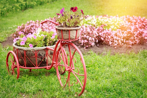 Flower arrangement of the form of a bicycle