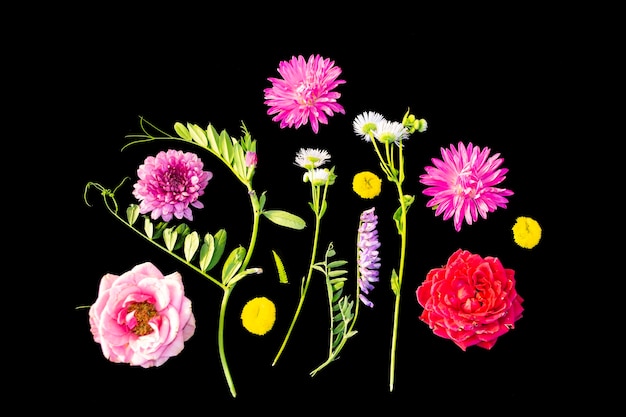 フラワーアレンジメント 夏の野生の花 黒い背景