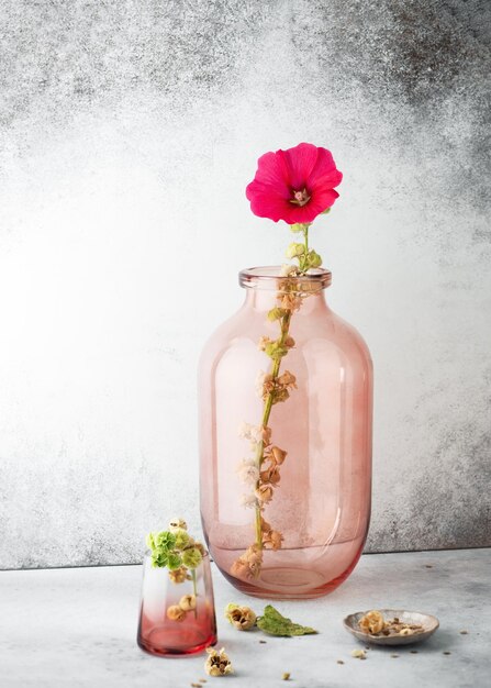Flower arrangement with red magenta hollyhock flower in a large glass vase Alcea rosea