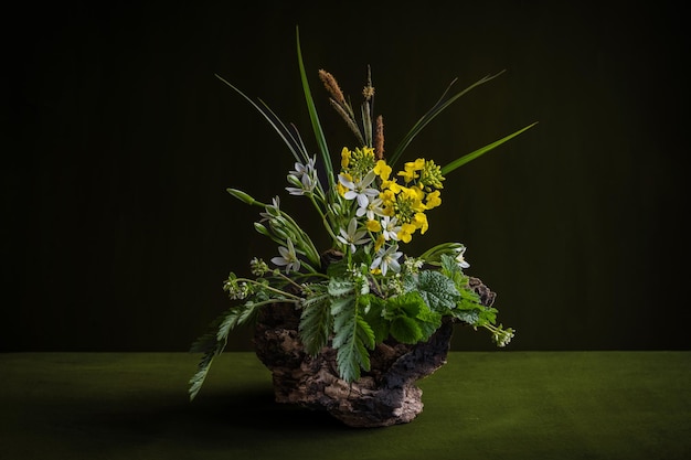 A flower arrangement with yellow flowers in a dark background Rape Ornithogalum