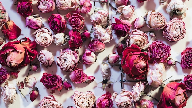 Flower assortment Floral composition. Dry rose heads random arrangement.