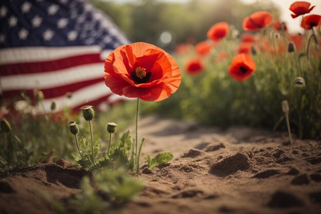 Photo flower banner white floral star garden stars black blue flag red sign holiday stone st