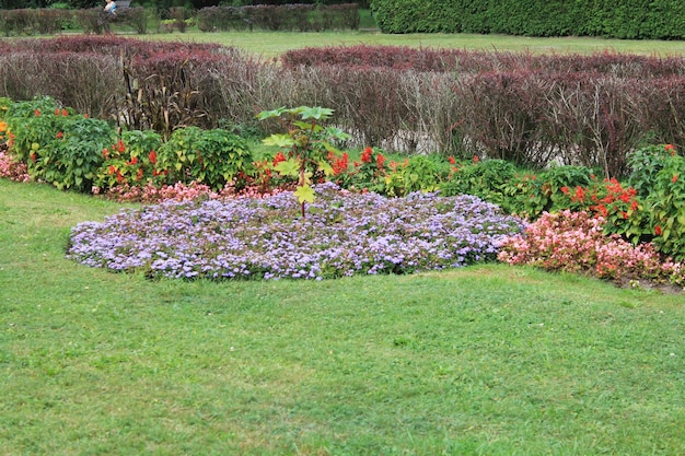 Flower bed in autumn season Colorful and vibrant plants grow near the path of the botanical garden