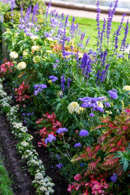 flower bed in the garden