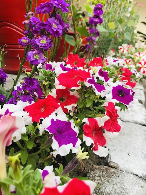 A flower bed with purple, pink, and white flowers in the middle.